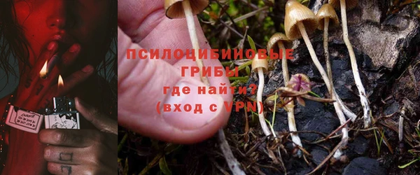 спиды Алексеевка