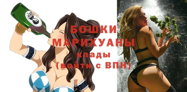 спиды Алексеевка