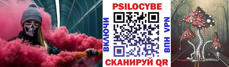 Псилоцибиновые грибы MAGIC MUSHROOMS  где найти наркотики  мега сайт  Ноябрьск 